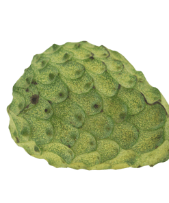 Cherimoya